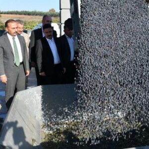 bursada-zeytin-hasadi-ve-yag-uretimine-start-mudanyadan-TqT7sx4j Bursa’da zeytin hasadı ve yağ üretimine start Mudanya’dan