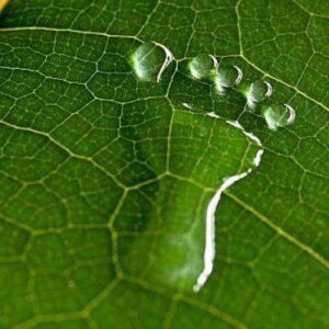 karbon-ayak-izi Karbon Ayakizi kavramıyla sürdürülebilirliğin önemi çok daha fazla arttı !