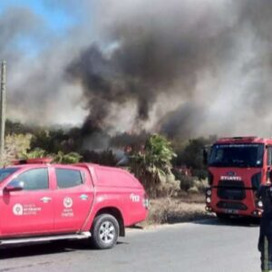 yangin Mersin ormanları alev alev yanıyor