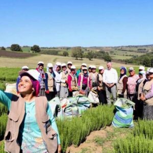 tibbi-aromatik-merkez-Dk4A6kWt Kocaeli’nde tıbbı aromatik merkez